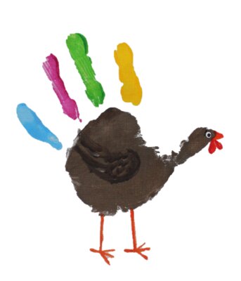The Turkey
